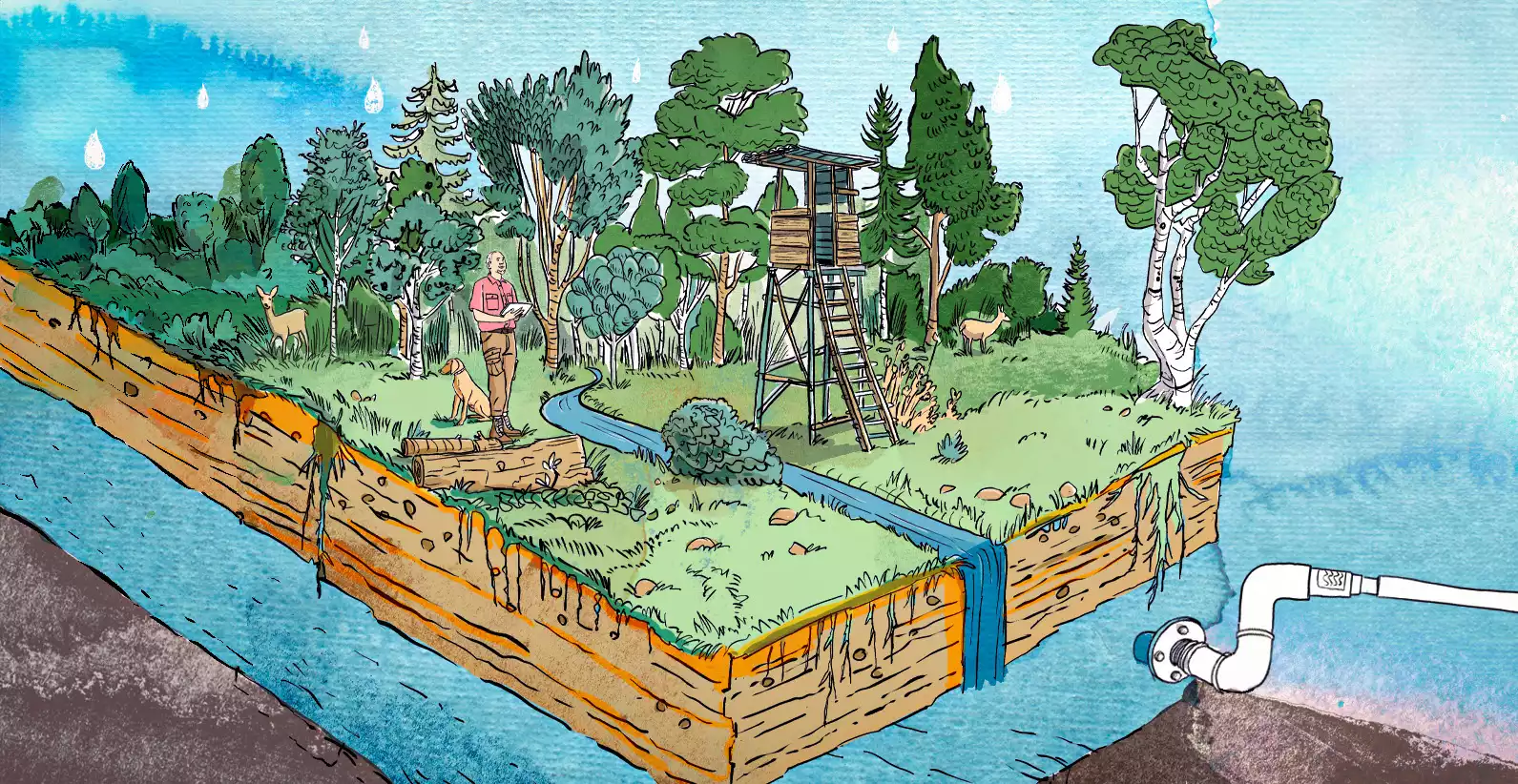 Das Bild zeigt eine künstlerische Illustration zum Thema Nachhaltige Wasserwirtschaft. Die Darstellung präsentiert ein dreidimensionales Landschaftsmodell mit Wald, einem kleinen Bach und Wasserrohren, die den Wasserkreislauf und nachhaltige Wassermanagement-Konzepte symbolisieren.