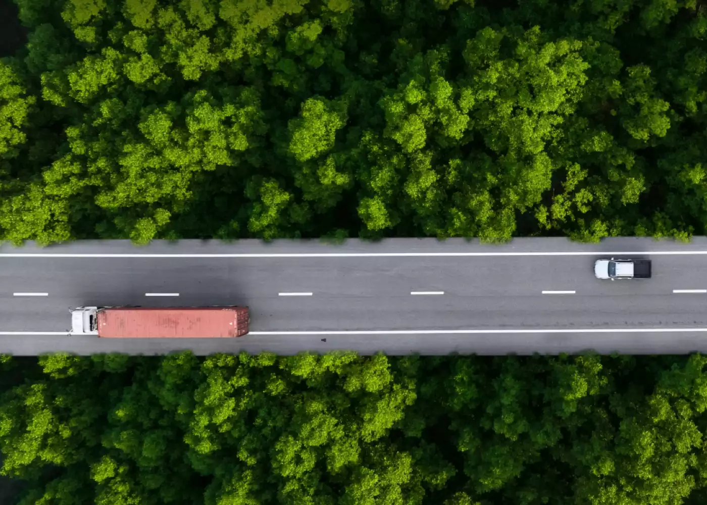 Foto einer Straße, die durch eine Landschaft mit dichten, grünen Bäumen führt. Aufgenommen aus der Vogelperspektive.