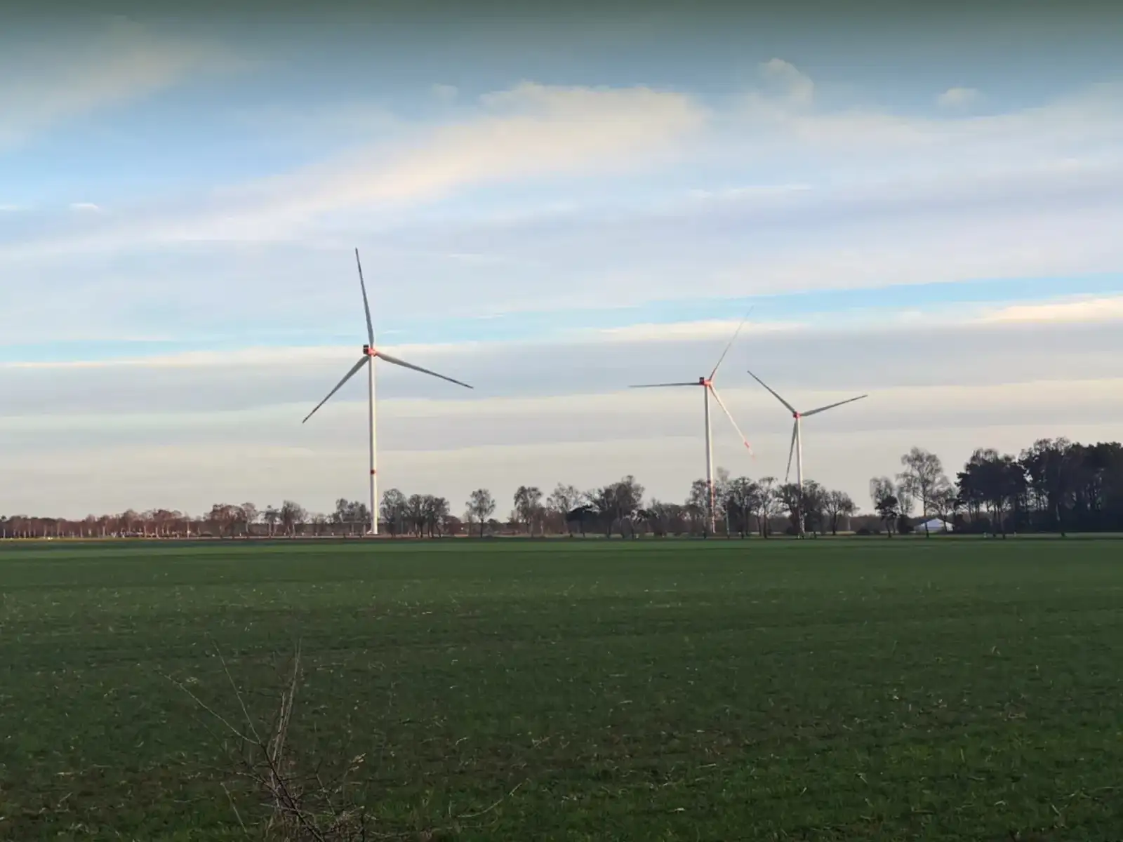 Eine weite Landschaftsaufnahme eines grünen Feldes mit vier großen, weißen Windkraftanlagen, die in einer Reihe vor einem leicht bewölkten Himmel stehen. Die Windräder haben rote Markierungen an ihren Naben und Rotorblättern. Eine Reihe kahler Bäume erstreckt sich entlang des Horizonts hinter den Anlagen.